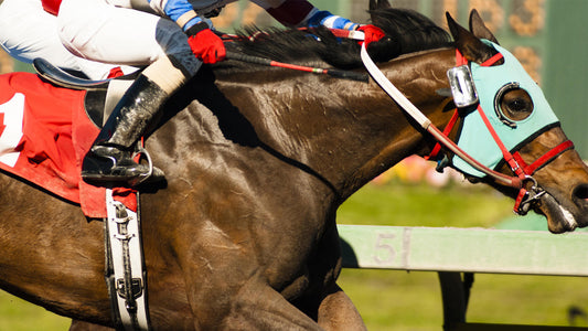 Garthorpe Race Fixture