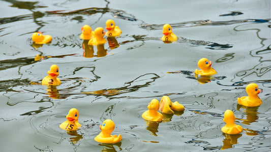 Melton Duck Race on the River Eye