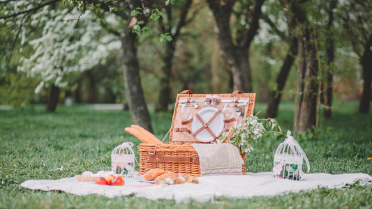 Teddy Bear's Picnic